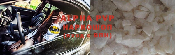 шишки Белокуриха