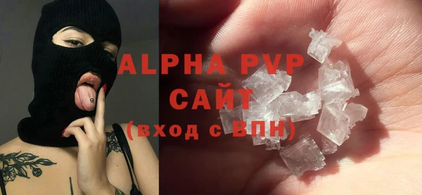 шишки Белокуриха