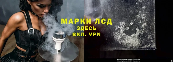 шишки Белокуриха