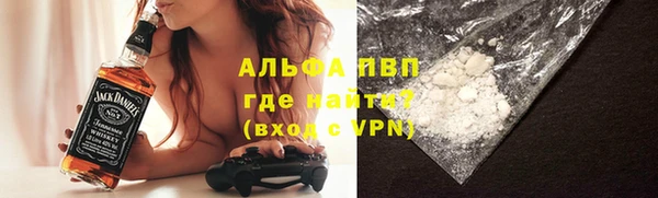 шишки Белокуриха