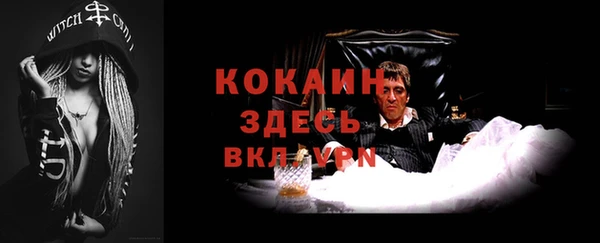 шишки Белокуриха
