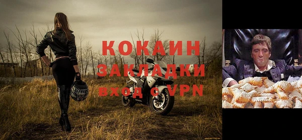 шишки Белокуриха