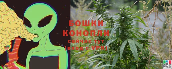 шишки Белокуриха