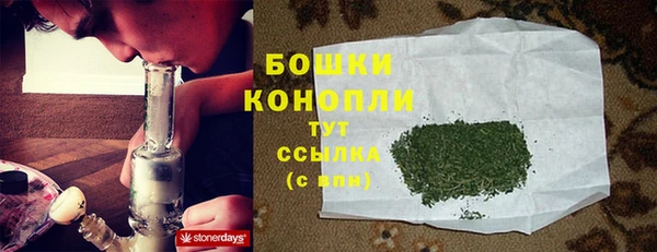 шишки Белокуриха