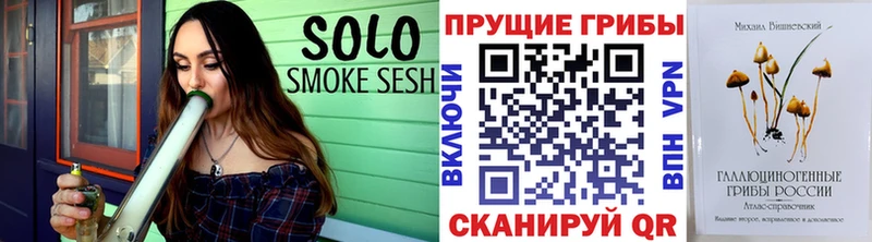 Галлюциногенные грибы GOLDEN TEACHER  купить закладку  Шуя 